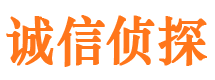 西昌侦探公司